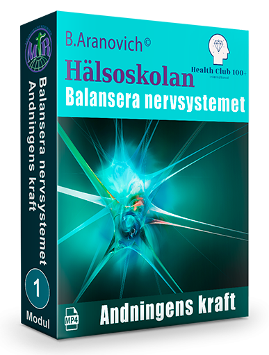 3_nervsystemet